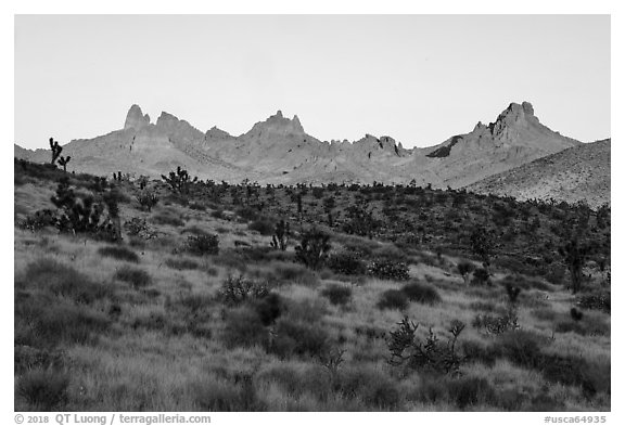 Castle Peaks at sunrise. Castle Mountains National Monument, California, USA (black and white)
