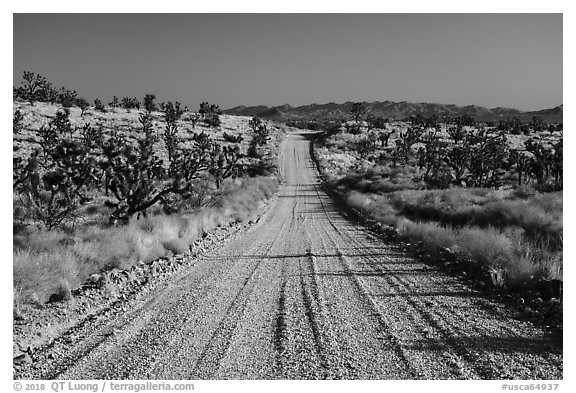 Main road. Castle Mountains National Monument, California, USA (black and white)