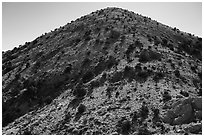 Castle Mountains peak with juniper trees. Castle Mountains National Monument, California, USA ( black and white)