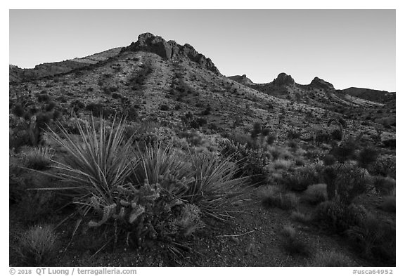 Castle Mountains, sunset. Castle Mountains National Monument, California, USA (black and white)