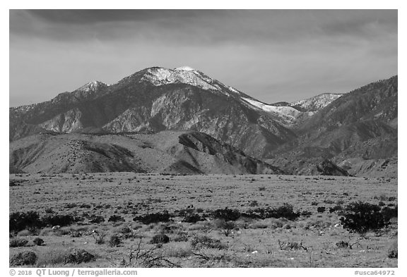 Snow-capped San Gorgonio Mountain. Sand to Snow National Monument, California, USA (black and white)