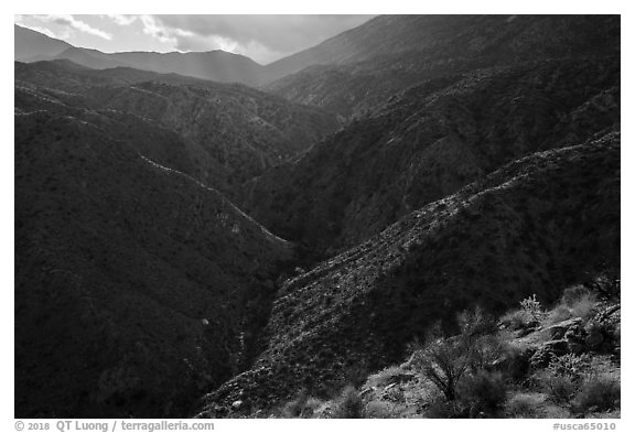 Deep Canyon and Santa Rosa Mountains. Santa Rosa and San Jacinto Mountains National Monument, California, USA (black and white)