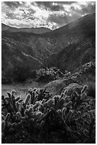 Santa Rosa Wilderness. Santa Rosa and San Jacinto Mountains National Monument, California, USA ( black and white)