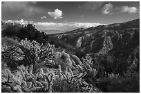 Deep Canyon from Santa Rosa Wilderness. Santa Rosa and San Jacinto Mountains National Monument, California, USA ( black and white)