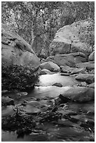 Creek below Tahquitz Falls, Tahquitz Canyon, Palm Springs. Santa Rosa and San Jacinto Mountains National Monument, California, USA ( black and white)