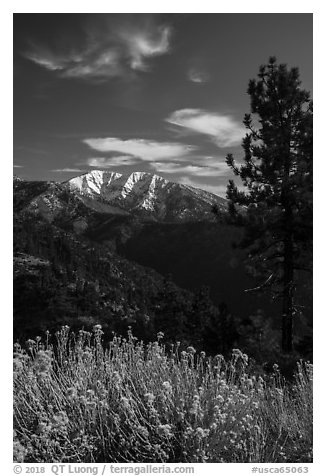 Snow-capped Mount Baldy from Inspiration Point. San Gabriel Mountains National Monument, California, USA (black and white)