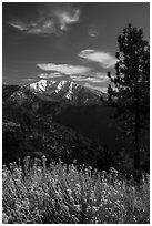 Snow-capped Mount Baldy from Inspiration Point. San Gabriel Mountains National Monument, California, USA ( black and white)