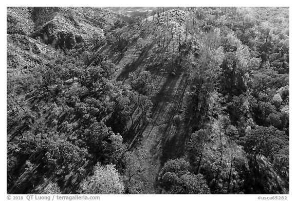 Aerial view of hillside, Cache Creek Wilderness. Berryessa Snow Mountain National Monument, California, USA (black and white)