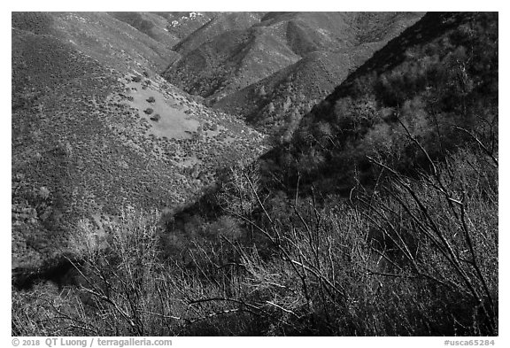 Hills, Stebbins Cold Canyon Reserve, Putah Creek Wildlife Area. Berryessa Snow Mountain National Monument, California, USA (black and white)