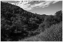 Wildflowers and hills above Eticuera Creek. Berryessa Snow Mountain National Monument, California, USA ( black and white)