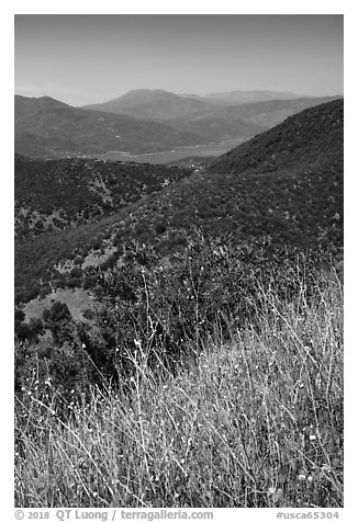 Wildflowers, Indian Springs Reservoir, and Snow Mountain. Berryessa Snow Mountain National Monument, California, USA (black and white)