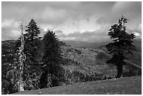 View north from saddle between Snow Mountain summits. Berryessa Snow Mountain National Monument, California, USA ( black and white)