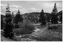 Stream and meadow in early spring with autumn color remnants, Snow Mountain. Berryessa Snow Mountain National Monument, California, USA ( black and white)
