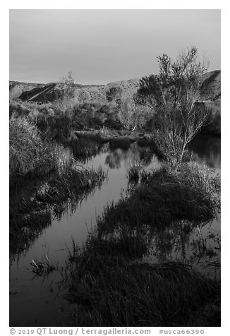 Mojave River crossing at sunrise. Mojave Trails National Monument, California, USA (black and white)