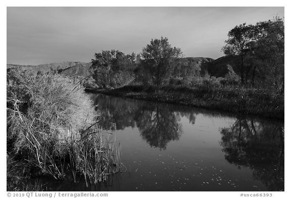 Cottonwood trees reflected in Mojave River. Mojave Trails National Monument, California, USA (black and white)