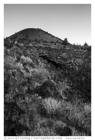 Wildflowers, Big Painted Cave, Schonchin Butte, sunrise. Lava Beds National Monument, California, USA (black and white)