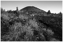Wildflowers, Big Painted Cave entrance and Schonchin Butte at sunrise. Lava Beds National Monument, California, USA ( black and white)