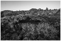 Wildflowers, lava, and distant buttes at sunrise. Lava Beds National Monument, California, USA ( black and white)