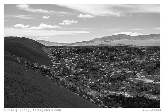 Pishgah cinders and lava flow. Mojave Trails National Monument, California, USA (black and white)