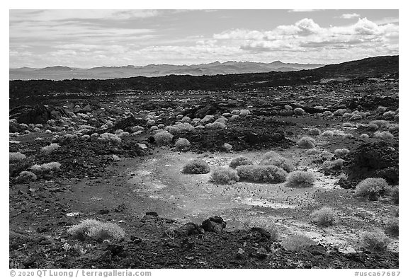 Lavic Lake volcanic field. Mojave Trails National Monument, California, USA (black and white)