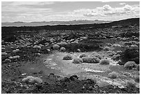 Lavic Lake volcanic field. Mojave Trails National Monument, California, USA ( black and white)