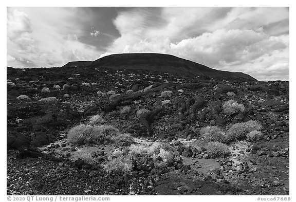 Lava field and Pisgah cinder cone. Mojave Trails National Monument, California, USA (black and white)