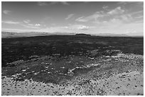Aerial view of Lavic Lake volcanic field with distant Pisgah Crater. Mojave Trails National Monument, California, USA ( black and white)