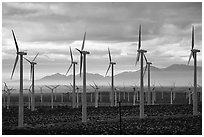 Wind turbines at dawn, San Gorgonio Pass. California, USA ( black and white)