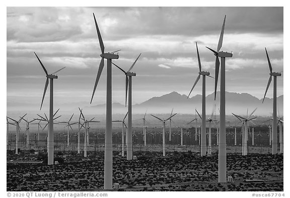 Wind turbines above Coachella Valley at sunrise. California, USA (black and white)
