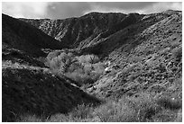 Little San Bernardino Mountains, Big Morongo Preserve. Sand to Snow National Monument, California, USA ( black and white)