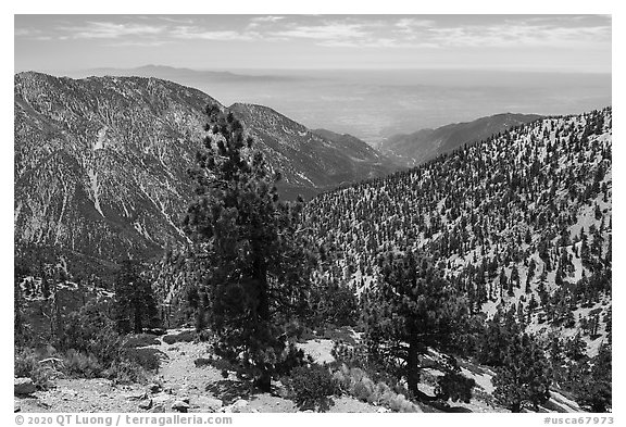 Looking down Baldy Bowl. San Gabriel Mountains National Monument, California, USA (black and white)