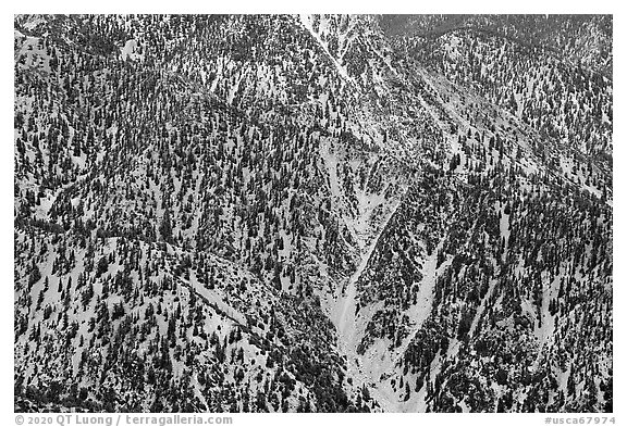 Slopes below Ontario Peak. San Gabriel Mountains National Monument, California, USA (black and white)
