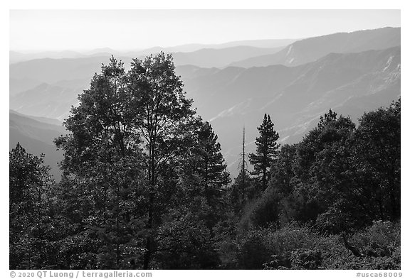 Hazy ridges from Converse Basin. Giant Sequoia National Monument, Sequoia National Forest, California, USA (black and white)