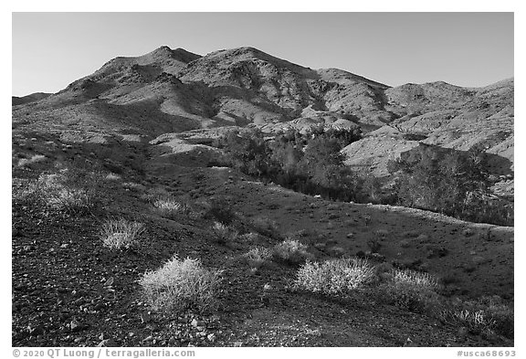 Bonanza Springs and Clipper Mountains. Mojave Trails National Monument, California, USA (black and white)