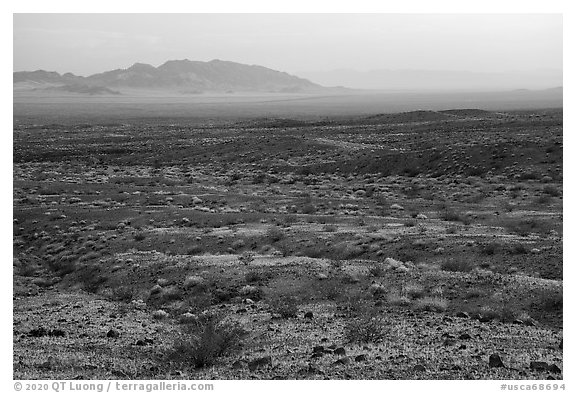 Fenner Valley at sunset. Mojave Trails National Monument, California, USA (black and white)