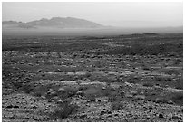 Fenner Valley at sunset. Mojave Trails National Monument, California, USA ( black and white)