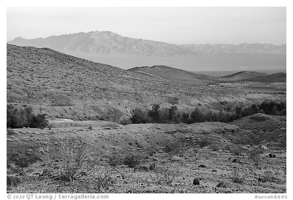Mojave Desert hills and mountains with Bonanza Springs. Mojave Trails National Monument, California, USA (black and white)