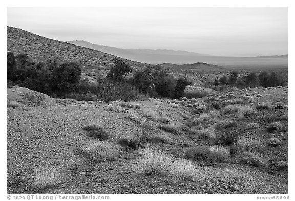 Limestone canyon with Bonanza Springs Oasis. Mojave Trails National Monument, California, USA (black and white)
