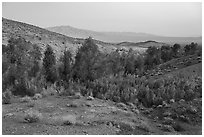 Bonanza Springs. Mojave Trails National Monument, California, USA ( black and white)