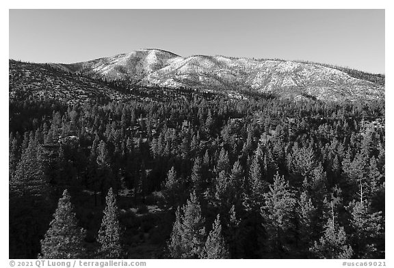 Aerial view of pine forest and Grinnel Mountain in winter. Sand to Snow National Monument, California, USA (black and white)