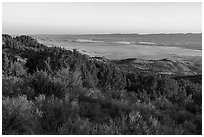 Caliente Ridge with juniper above plain at sunrise. Carrizo Plain National Monument, California, USA ( black and white)