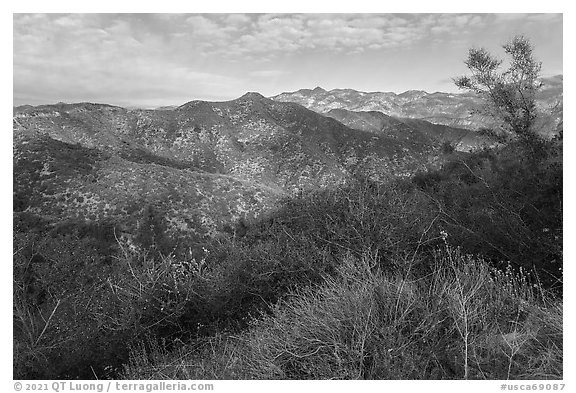 Shrubs, hills, and peak from Glendora Ridge. San Gabriel Mountains National Monument, California, USA (black and white)