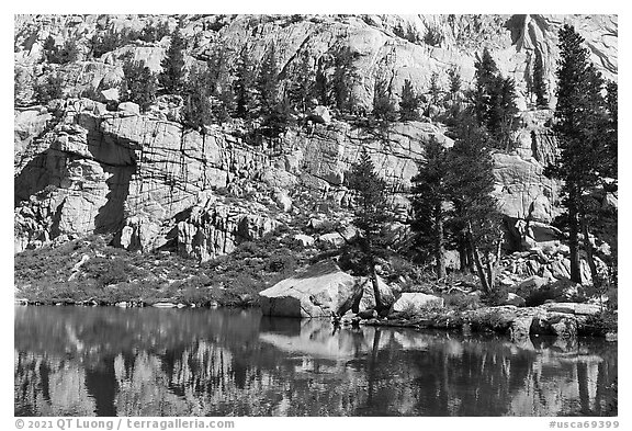 Cliffs and trees reflected in Mirror Lake, Inyo National Forest. California, USA (black and white)