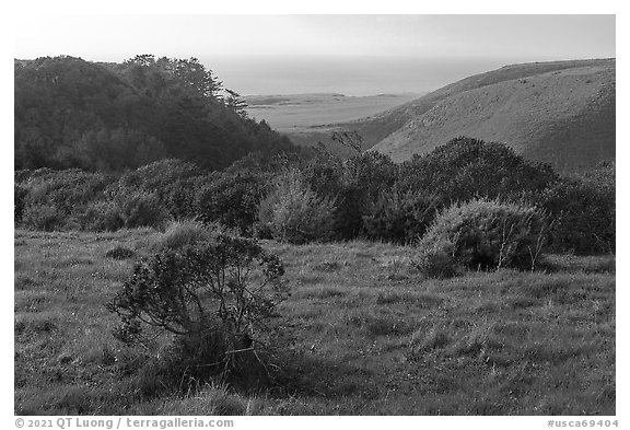 Coastal grasslands looking towards the Pacific Ocean. Cotoni-Coast Dairies Unit, California Coastal National Monument, California, USA (black and white)