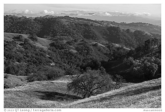 Hills, Middle Steer Ridge, Henry Coe State Park. California, USA (black and white)