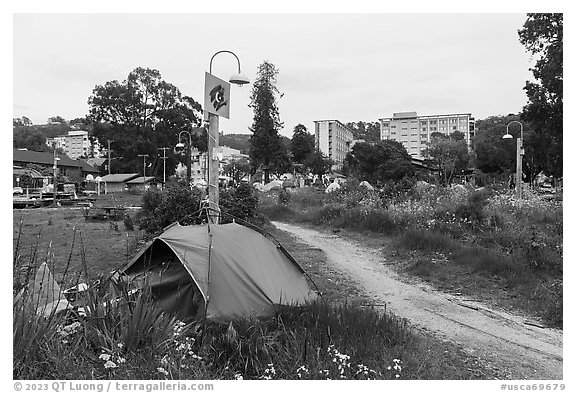 Tent, Peoples Park. Berkeley, California, USA (black and white)