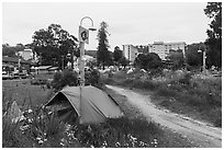 Tent, Peoples Park. Berkeley, California, USA ( black and white)
