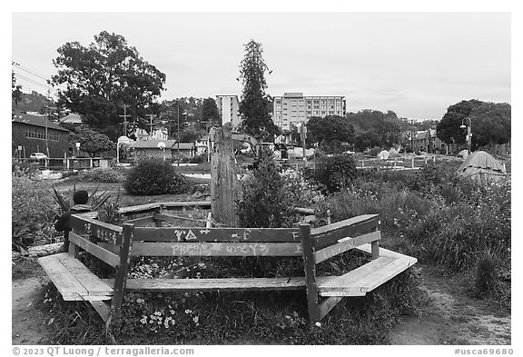 Bench, Peoples Park. Berkeley, California, USA (black and white)