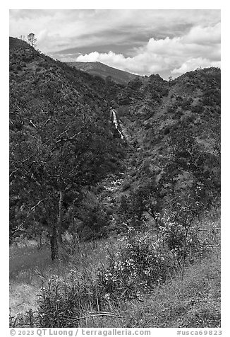 Zim Zim Fall and Zim Zim Creek in the spring. Berryessa Snow Mountain National Monument, California, USA (black and white)