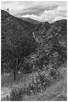 Zim Zim Fall and Zim Zim Creek in the spring. Berryessa Snow Mountain National Monument, California, USA ( black and white)